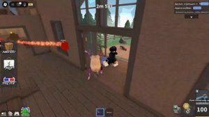 играю в ММ2 на аккаунте роблокс квинки «🍍»