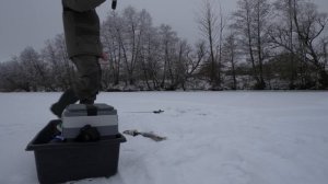 В шоке! ТАКОГО ЖОРА ЩУКИ НЕ БЫЛО МНОГО ЛЕТ! Зимняя рыбалка на балансир.