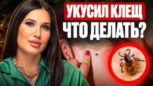 Укусил зараженный клещ: что делать, симптомы болезни, лечение и профилактика