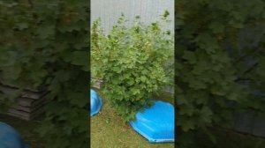 🧹🧺🏡 Вместе веселей