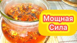 Чага – спасение для желудка и сосудов! Гастрит, изжога, тромбы уйдут! Проверенный рецепт!