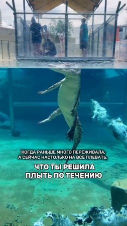 Главная проблема современности🫨
