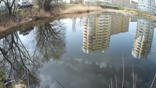 Окунь на спиннинг. Ультралайт спиннинг. Твичинг. Городские окуня на маленьком пруду!