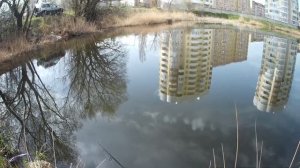 Окунь на спиннинг. Ультралайт спиннинг. Твичинг. Городские окуня на маленьком пруду!