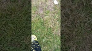 глаза хорор в реальной жизни
