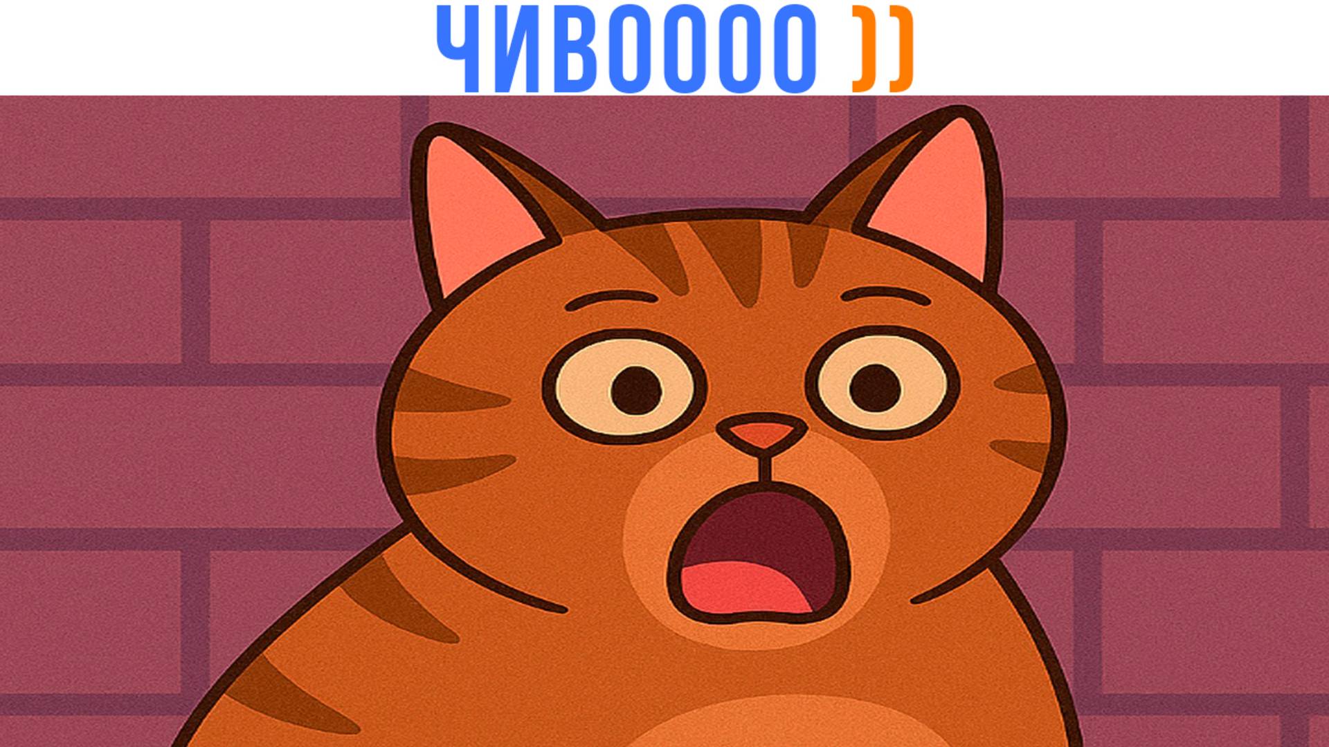 ЧИВОООО ))) Приколы с котами | Мемозг 1617