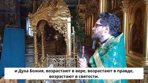 День Святого Духа (Мф. 75 зач.)