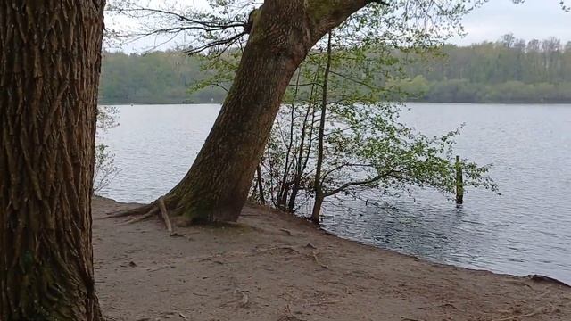 Небольшое озеро Krupunder See в пригороде Гамбурга. Район Ха смотреть онлайн