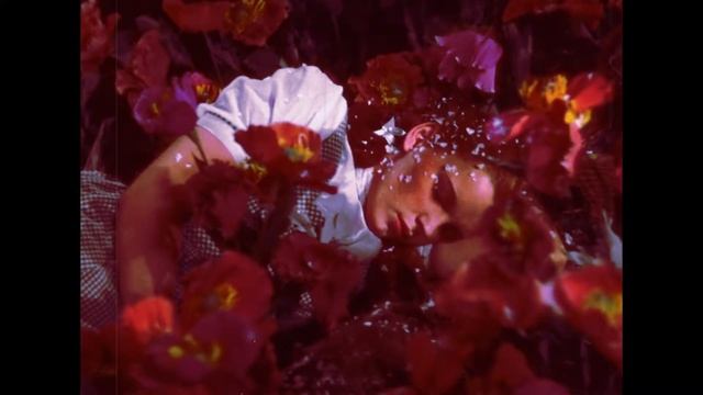 KURTZ feat Axime Nemi - Навсегда заснуть на маковом поле смотреть онлайн