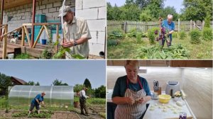 МНОГО ЧЕГО СДЕЛАЛИ СЕГОДНЯ, НО ГЛАВНОЕ,НАЛЕПИЛА ВАРЕНИКОВ.