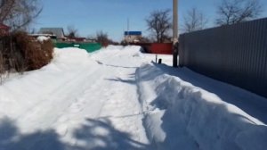20 марта СНТ Прогресс. Приозерка.