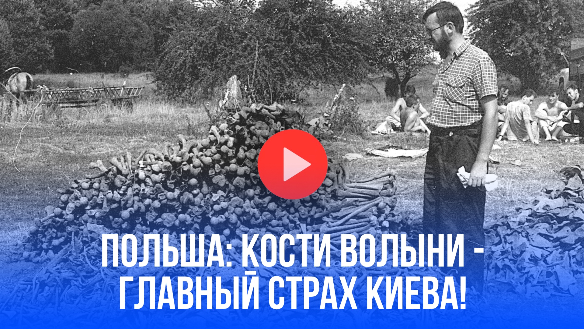 Украина в ужасе от костей: в Польше раскрыли правду о Волынской резне - что скрывает Киев