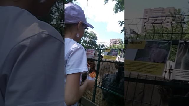 полинер🤗