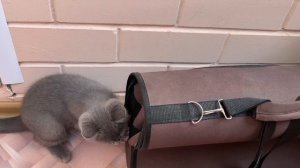 Хочу показать вам домик в котором я приехал в новый дом)