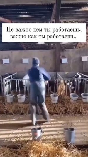 Весёлые ребята