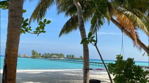 Медитация "ЖИЗНЕННАЯ ЭНЕРГИЯ"