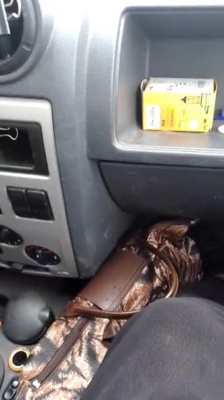 непонятный вопрос 24