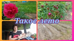 10-06-2025 Задачи на лето.Деревня на северо-западе.