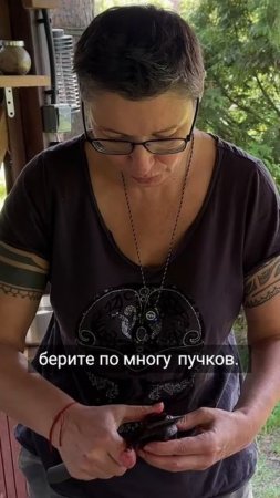 🌿 Колба — сибирская находка (она же черемша)