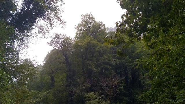 Абхазия. Каньон Хашупсе. Is This The Most Breathtaking River Gorge You Have Eve смотреть онлайн