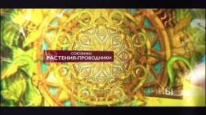 Программа «Реализация своей природы через Многомерный мир»