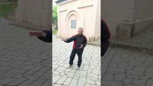 Равновесие шара тайцзи.