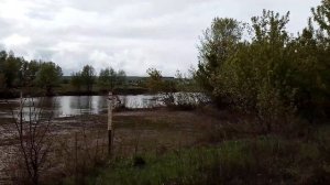 На берегу Кинеля 2