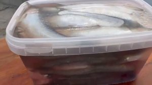 Донская селёдка Пузанок