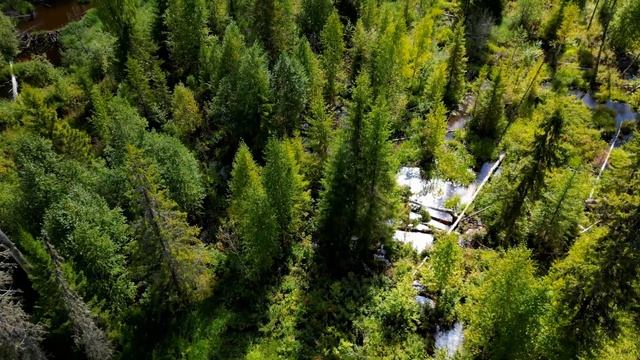 Зеленое море Коми смотреть онлайн