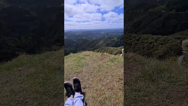 Прогулка в весеннем лесу Новой Зеландии/ Walking in the New Zeala смотреть онлайн