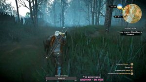 #9 Прохождение Ведьмак 3 Дикая охота | The Witcher 3 Wild Hunt | XBOX S