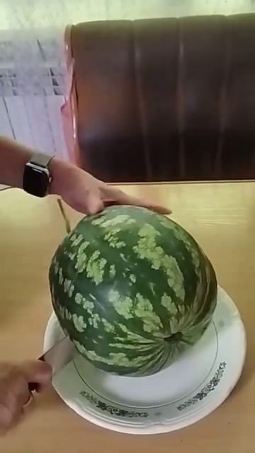 Разрезали арбуз. #мульчирование #огород #природноеземледелие