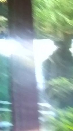 VID_20250528_165727.mp4