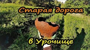 Тайны Урочища: что скрывает старая дорога?