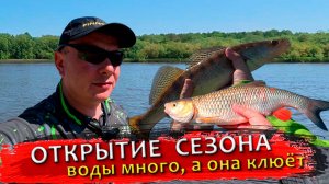 Открытие сезона 2025