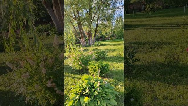 Феклина пустынь женский монастырь! смотреть онлайн