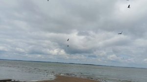 Обь🌊Каракан🌲🌴собираемся домой🙋🏻♀️