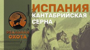 КАНТАБРИЙСКАЯ СЕРНА | ИСПАНИЯ | РЕАЛЬНАЯ ОХОТА