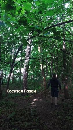 809 238 Не поеду на море Эгейское Мечты не всегда рождаются; в твоей голове