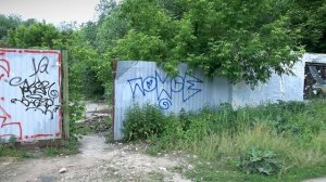 В Росреестре разъяснили признаки заброшенного участка