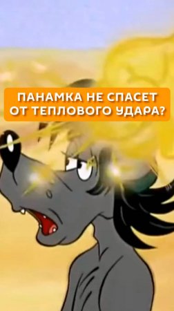 Панамка не спасет от теплового удара?