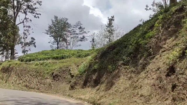 Показываю Красивые Места В Округе Канди.Гуляю По Чайн? смотреть онлайн