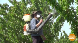 Летняя подработка: договор дороже денег. Доброе утро. Фрагмент выпуска от 10.06.2025