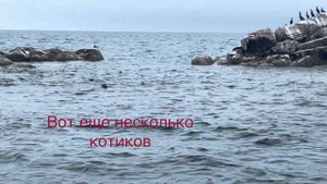 Экскурсия на остров Фуругельма - самый южный остров Ро