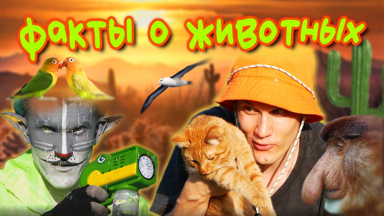 КОТ УЧЁНЫЙ| УДИВИТЕЛЬНЫЕ ФАКТЫ О ДИКОЙ ПРИРОДЕ