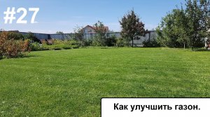 Как улучшить газон.