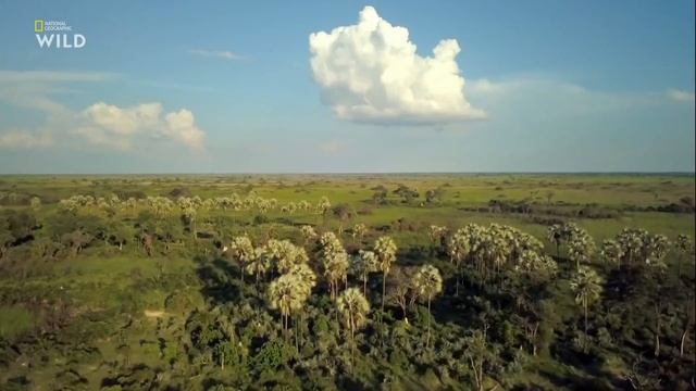 Окаванго: река мечты 2 серия - Чистилище смотреть онлайн