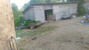 в деревне у Дариника