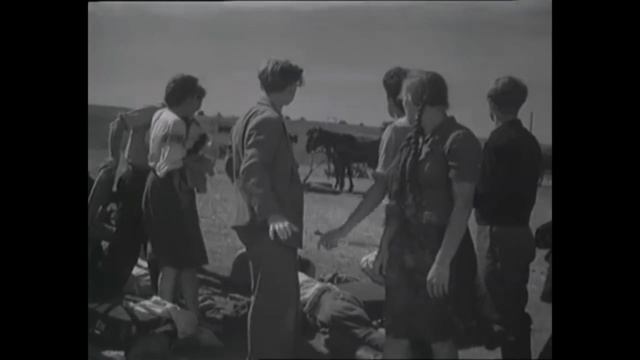 5. Молодая гвардия