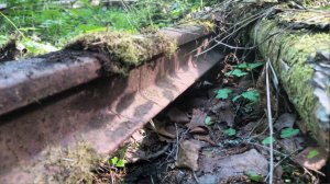 Выезд на старую УЖД. Забираю металл с делянки и удачная разведка старого уса +800 кг рельс и металла